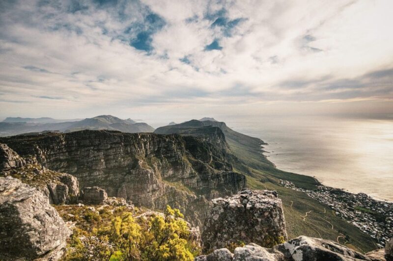 Cape Peninsula Shared Half-Day Tour - The Drive Through Constantia Wine Region