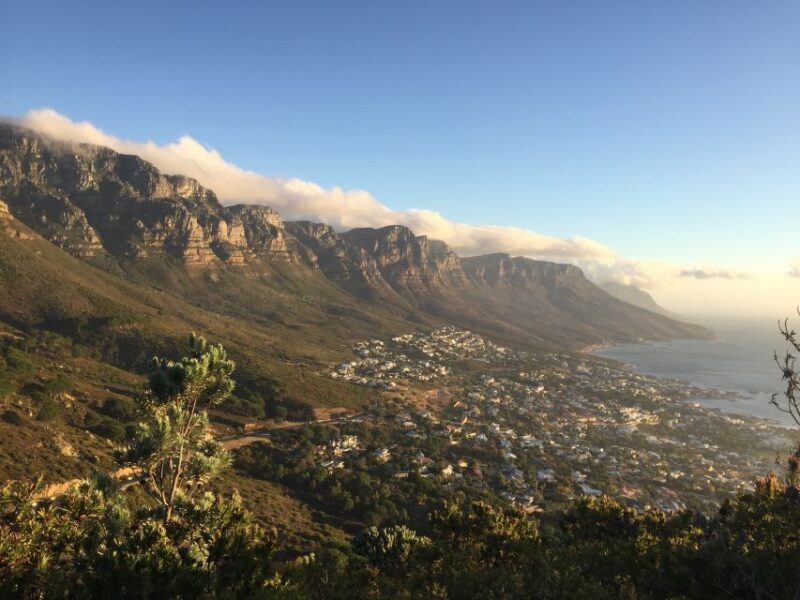 Cape Peninsula Shared Half-Day Tour - Who Should Take This Tour?