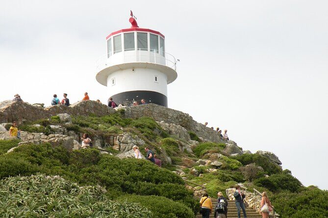 Cape Peninsula Tours - Who Will Love This Tour?