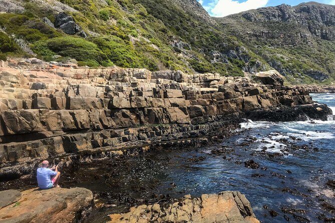 Cape Peninsula with a Marine Biologist - Who Will Love This Tour?