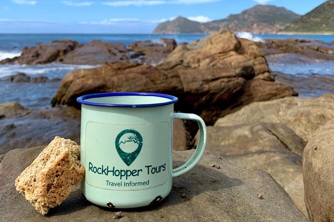 Cape Peninsula with a Marine Biologist - FAQ