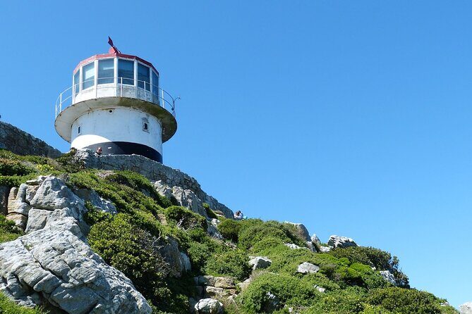 Cape Point and Boulder's Penguins Full Day Tour - Introduction