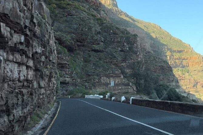 Cape Point and Boulder's Penguins Full Day Tour - Practical Tips & Considerations