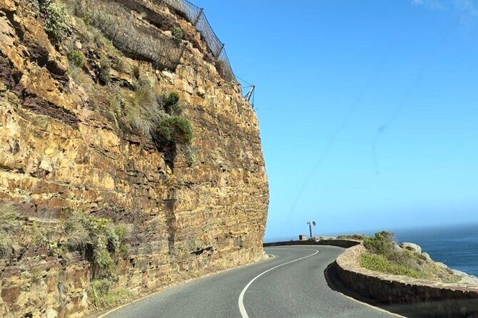 Cape Point and Boulder's Penguins Full Day Tour - Who This Tour Is Best For
