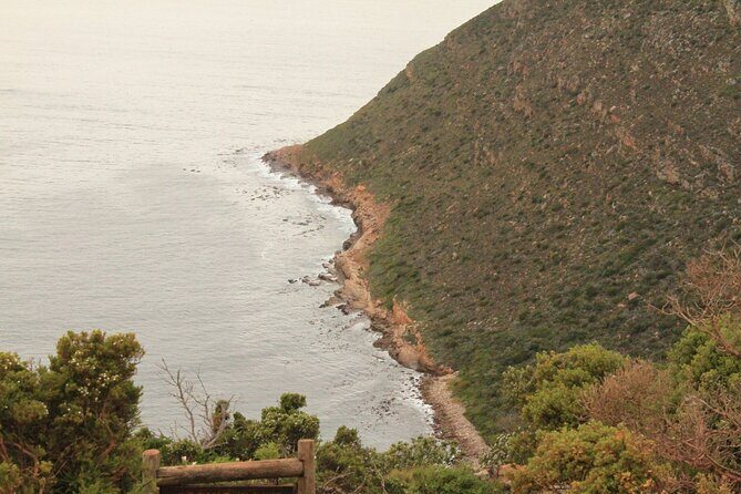 Cape Point and Cape of Good Hope day tour Up to 10 persons - Final Thoughts