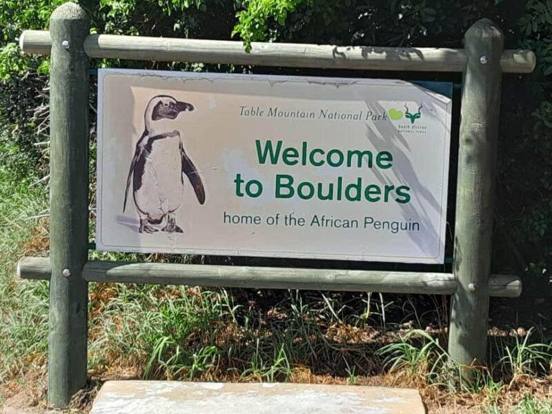 Cape Point Cape of Good Hope and Penguin small group Tour - Final Thoughts: Is This Tour Worth It?