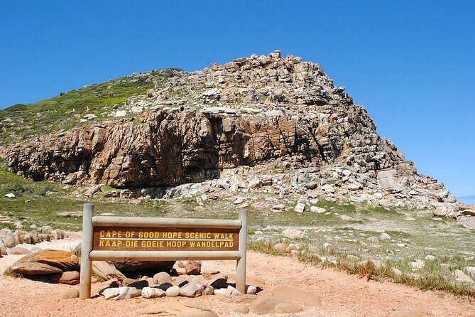 Cape Point ,Cape of Good Hope and Table Mountain Tour . - Review Insights and Authentic Experiences