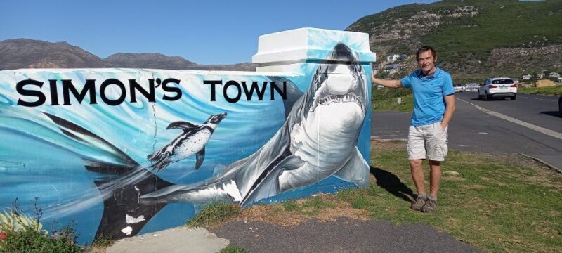 Cape Point Cape of Good Hope, Penguins Private Half day Tour - The Sum Up