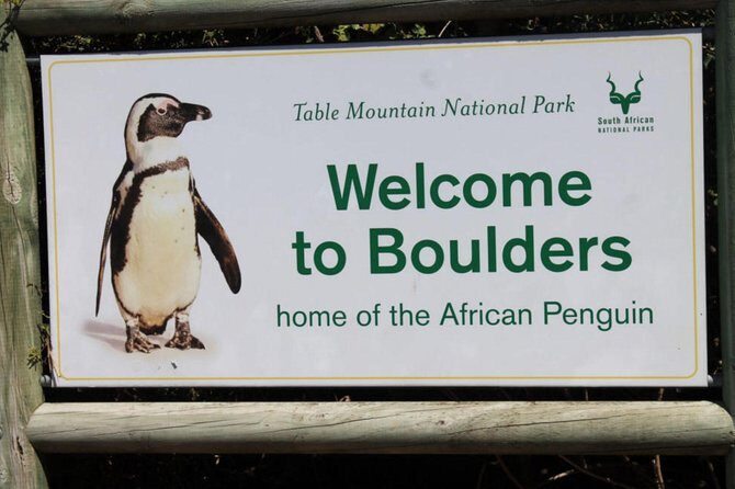 Cape Point Explore with Boulder's Penguins Small Group Day Tour - What Makes This Tour Special?