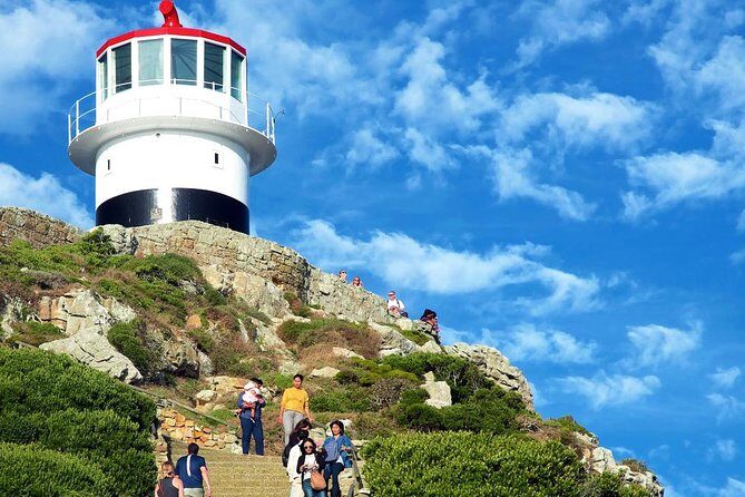 Cape Point Explore with Boulder's Penguins Small Group Day Tour - FAQ