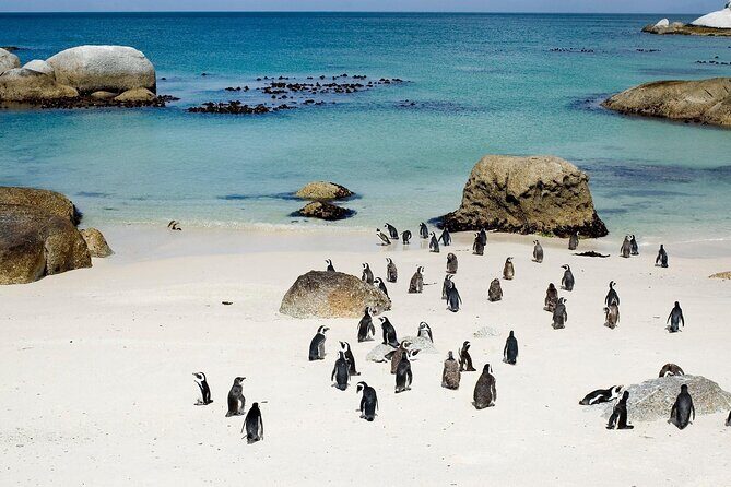 Cape Point Full Day Tour - Final Thoughts