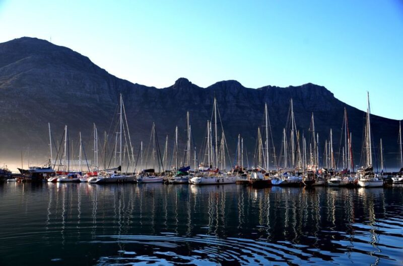 Cape Point Full-Day Tour From Cape Town - Key Points