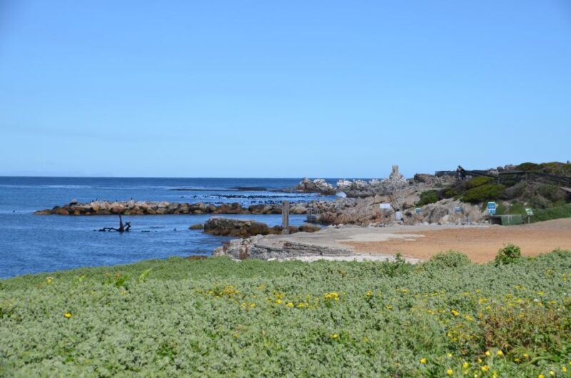 Cape Point Full-Day Tour From Cape Town - The Itinerary Breakdown