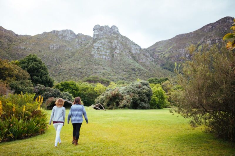 Cape Point Full-Day Tour From Cape Town - Penguins at Boulders Beach and Wildlife Encounters
