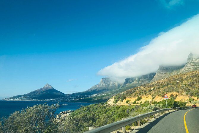 Cape Point Penguin Tour - Exploring the Itinerary: What Youll Experience