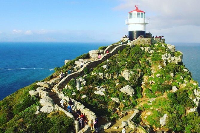 Cape Point Penguin Tour - FAQ