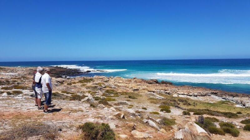 Cape Point & Penguins: Private Cape Peninsula Tour. - Final Thoughts