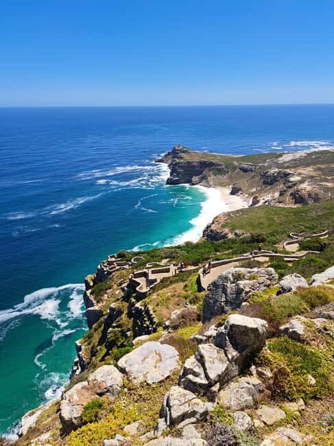 Cape Point: Private Tour incl surfing & penguins at Boulders - Key Points