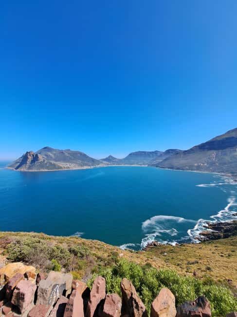 Cape Point: Private Tour incl surfing & penguins at Boulders - An In-Depth Look at the Cape Point Private Tour