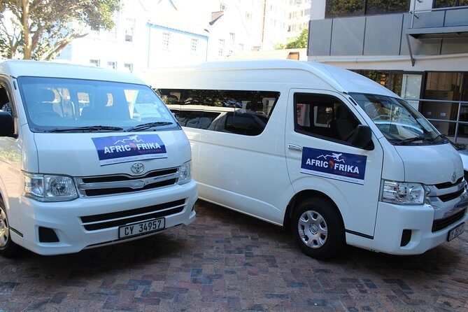 Cape Point Tour - The Itinerary in Detail: What to Expect