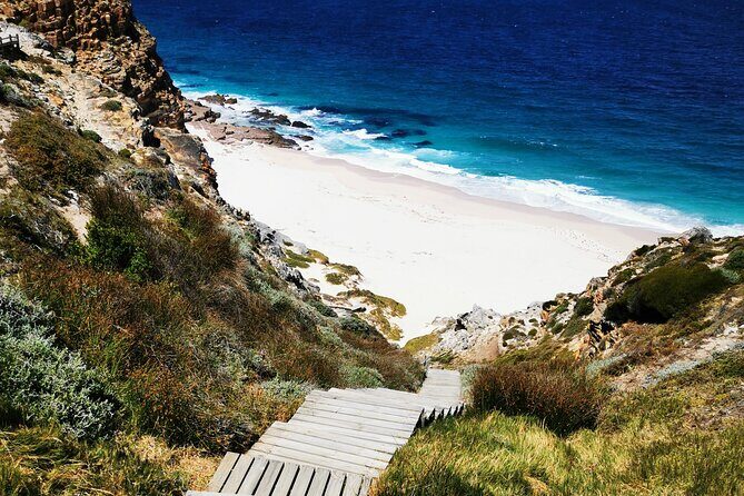 Cape Point Xplorer - Why Choose the Cape Point Xplorer?