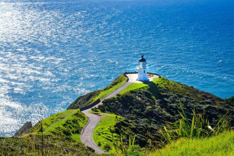 Cape Reinga: Day Trip from Paihia, Kerikeri, or Kaitaia - The Practicalities: What You Need to Know