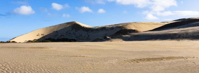 Cape Reinga: Day Trip from Paihia, Kerikeri, or Kaitaia - Exploring the Cape Reinga Day Trip: An Authentic Northland Adventure