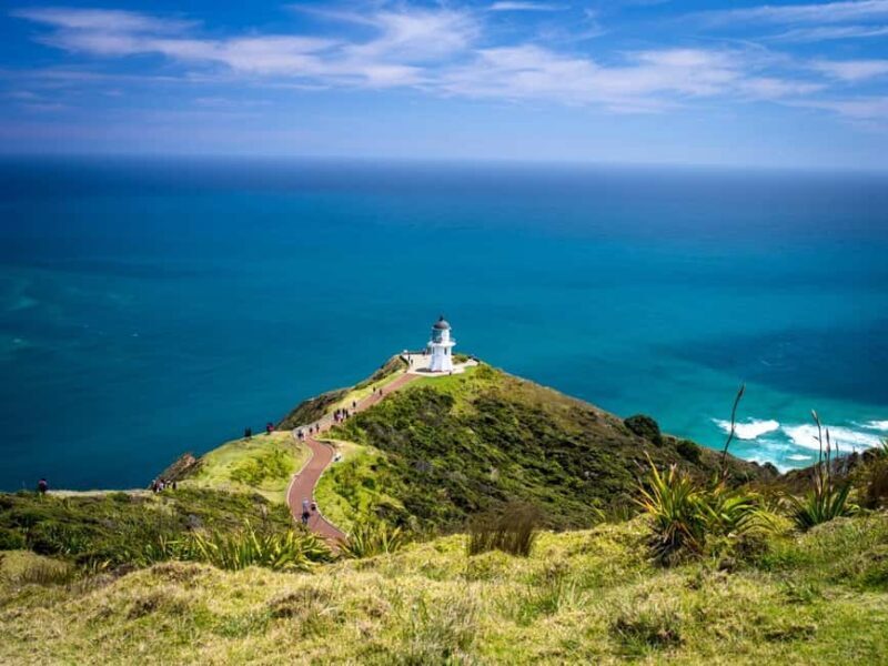 Cape Reinga: Day Trip from Paihia, Kerikeri, or Kaitaia - A Closer Look at the Itinerary