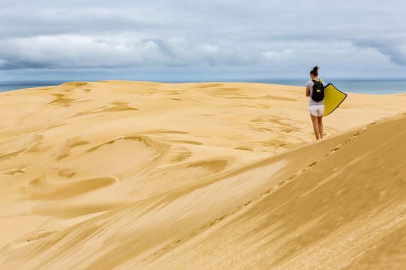 Cape Reinga: Day Trip from Paihia, Kerikeri, or Kaitaia - The Value of This Experience