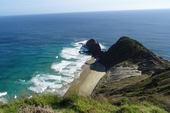 Cape Reinga Half-Day Tour Including Scenic Flight - An In-Depth Look at the Experience