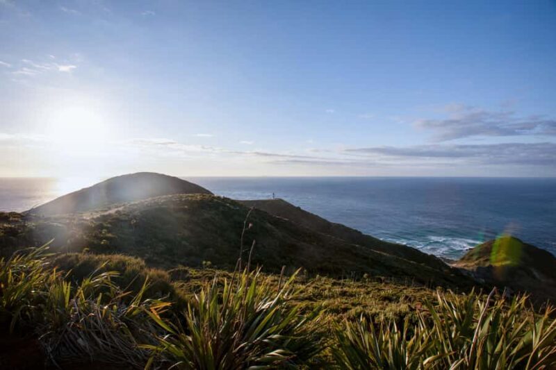 Cape Reinga: Mori Culture Experience with Ngti Kur Tribe - FAQ