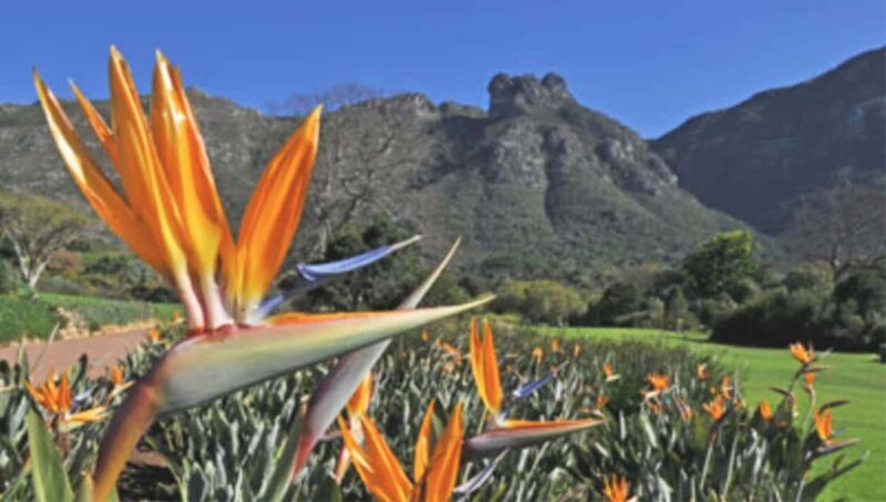 Cape Road Trip, Kirstenbosch Gardens Tour, 3-Course Lunch - Practical Tips for Participants