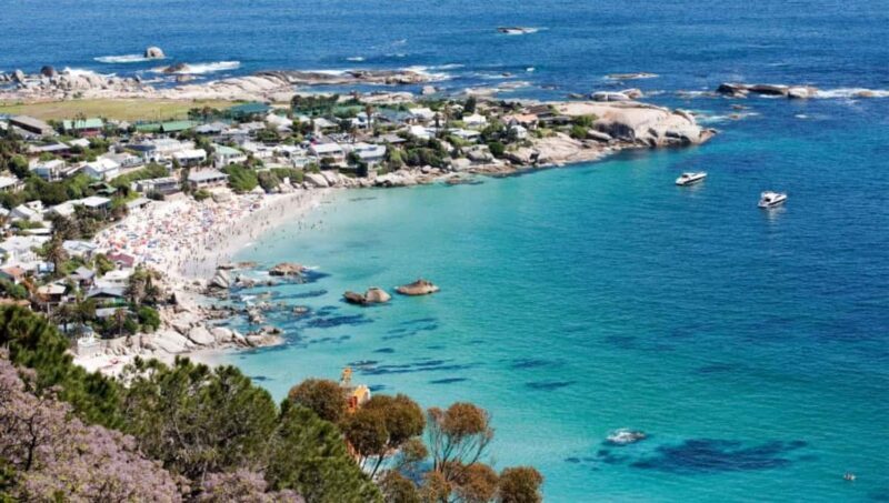Cape Road Trip, Kirstenbosch Gardens Tour, 3-Course Lunch - Who Should Consider This Tour?