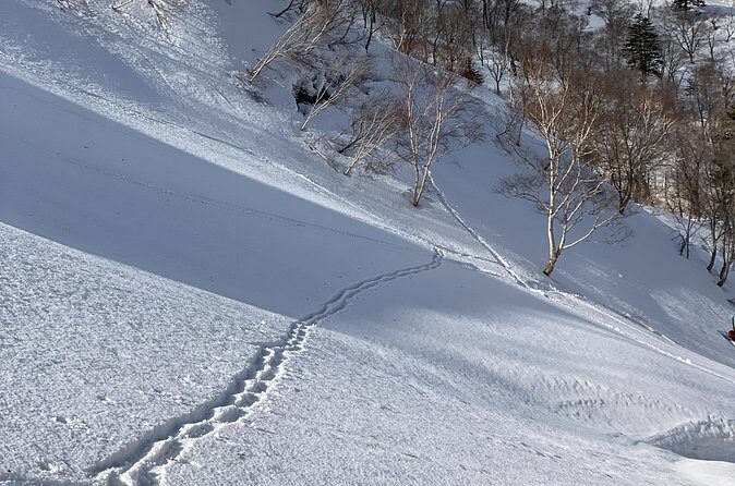 Cape Shakotan Ocean View Walking Path Snowshoeing - Frequently Asked Questions