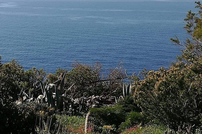 cape-sounio-and-temple-of-poseidon-half-day-private-tour