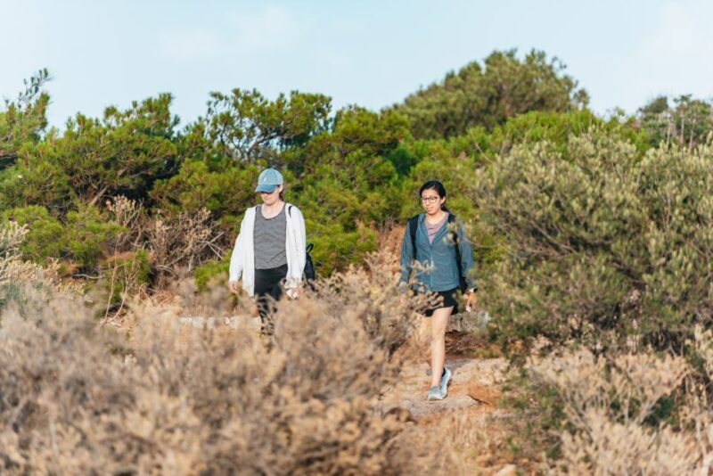 Cape Sounion & Temple of Poseidon: Small Group Tour - Food, Beverages, and Extra Costs