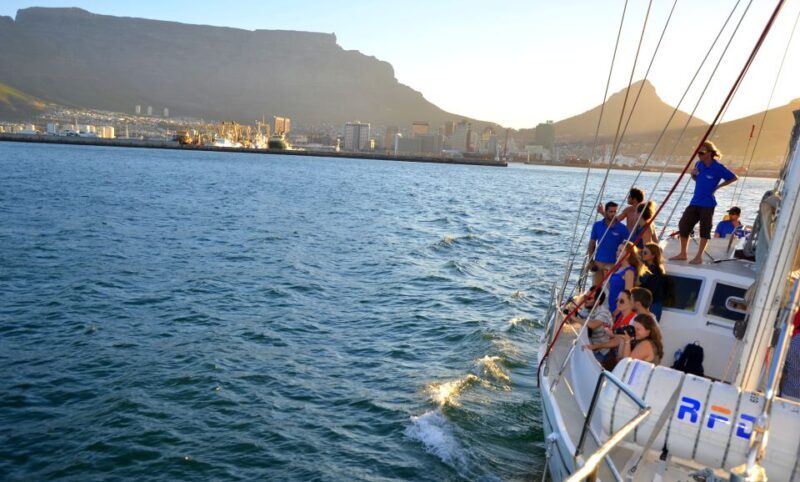 Cape Town: 1-Hour Pre-Sunset Champagne Cruise - Key Points