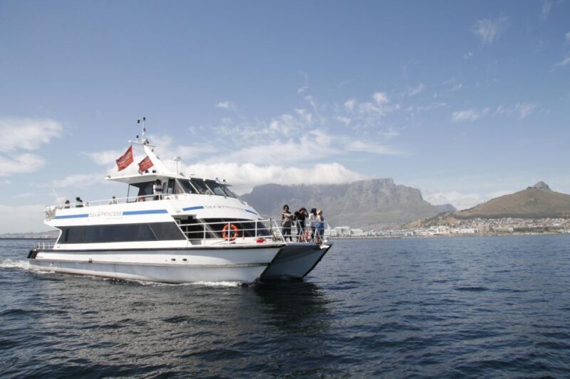 Cape Town: 1-Hour Pre-Sunset Champagne Cruise - The Sum Up