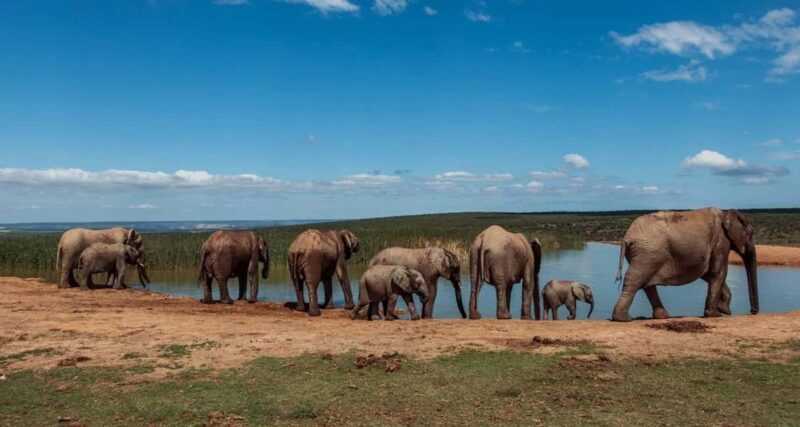 Cape Town: 10-Day Garden Route, Winelands & Cape Point Combo - Key Points