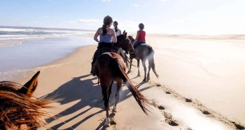 Cape Town: 10-Day Garden Route, Winelands & Cape Point Combo - FAQ
