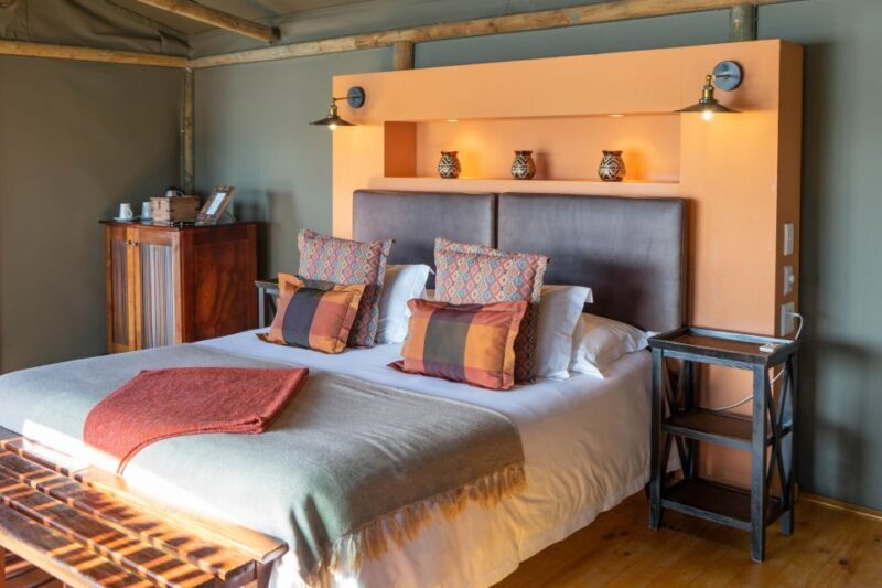 Cape Town: 2-Day Wildlife Tour with Safaris and Luxury Stay - The Itinerary Breakdown: What You Can Expect