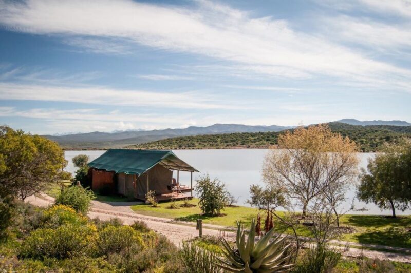 Cape Town: 2-Day Wildlife Tour with Safaris and Luxury Stay - Authentic Experiences and Practical Details