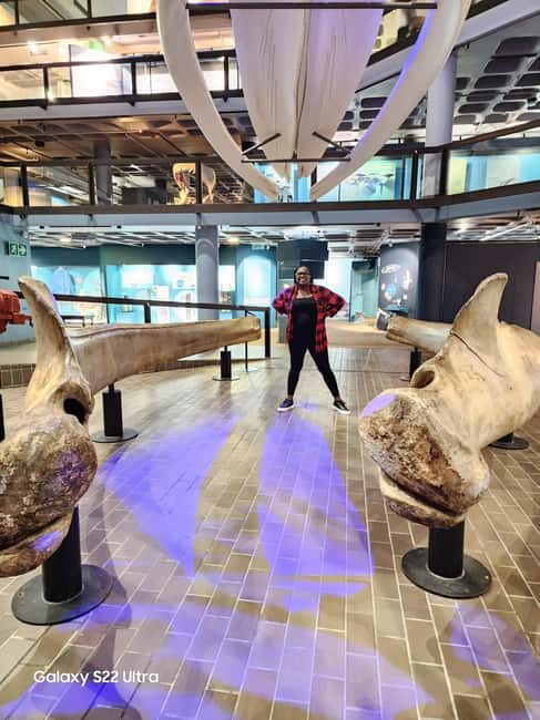 Cape Town: 3-Day City, Peninsula, and Winelands Tour - FAQ
