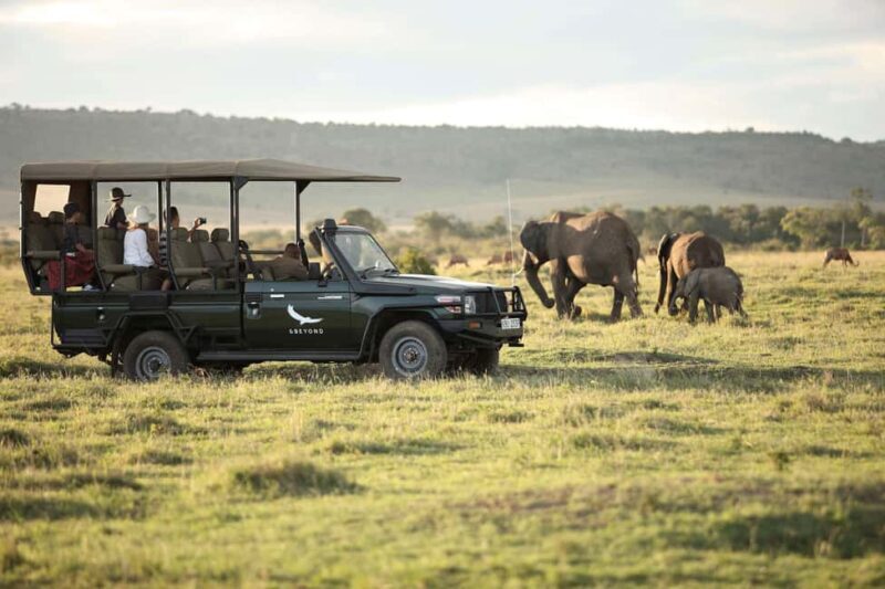 Cape Town: 3-Day Inverdoorn Safari with Accommodation - Day 1: Departure and First Encounters