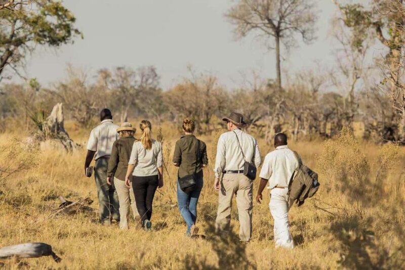 Cape Town: 3-Day Inverdoorn Safari with Accommodation - Day 2: Full-Day Safari & Cultural Experiences
