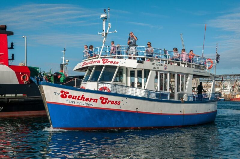 Cape Town: 30 Minute Harbour Boat Cruise with Seal Watching - The Itinerary Breakdown