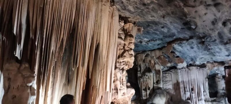 Cape Town: 5-Day Garden Route &Addo Elephant Port Elizabeth - An Introduction to South Africa’s Natural Beauty in 5 Days