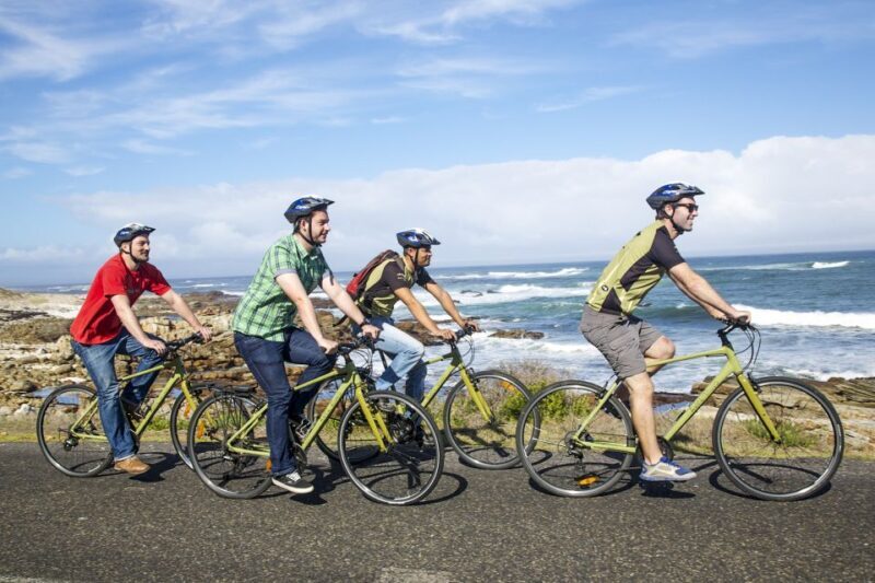 Cape Town: 9-hour Cape Point Private Guided Cycling Tour - The Itinerary in Detail