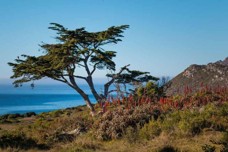 Cape Town: 9-hour Cape Point Private Guided Cycling Tour - Practical Considerations