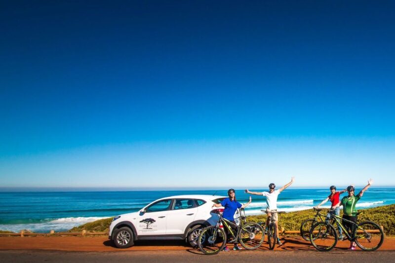 Cape Town: 9-hour Cape Point Private Guided Cycling Tour - Who Will Enjoy This Tour?
